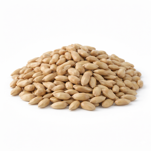 Sunflower Seed Kernels – Raw, Unsalted & Shelled