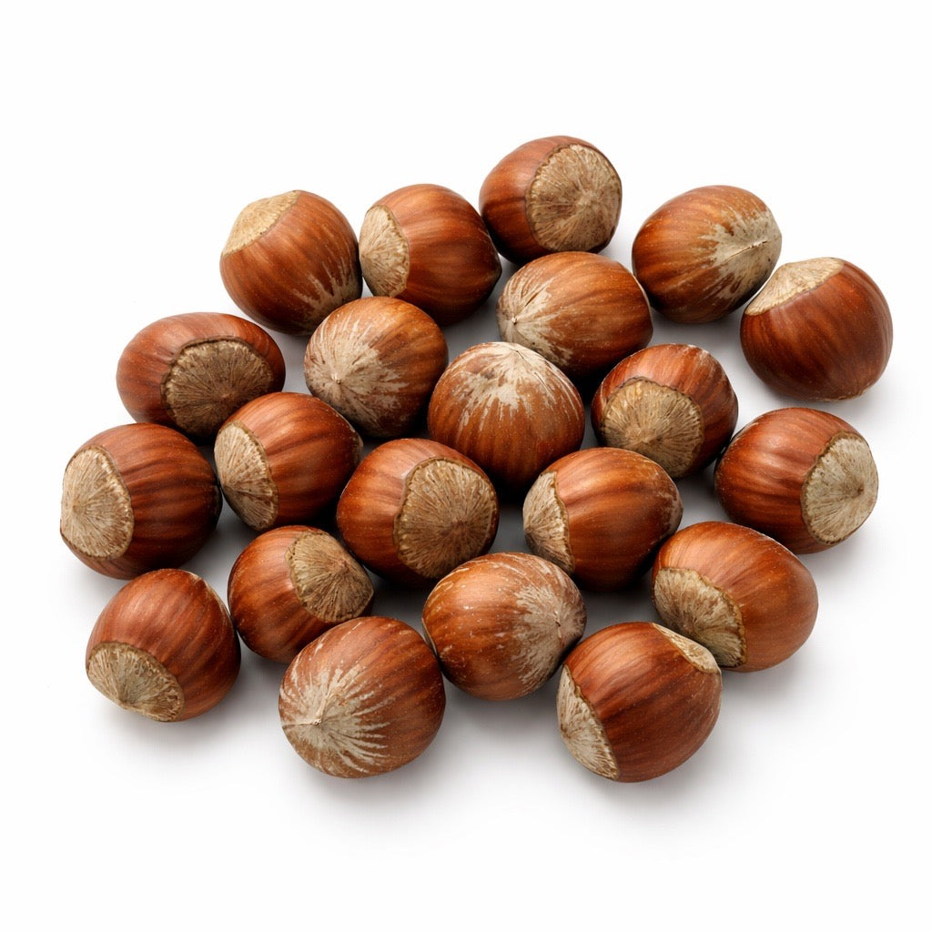 In-Shelled Hazelnuts Grown in Oregon – Whole & Unsalted